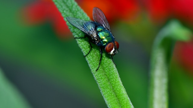 juan-pablo-mascanfroni-kkpQ_3z1it0-unsplash